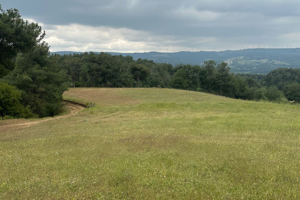 Inovest Gayrimenkul - Arsa - Arazi - Tarla