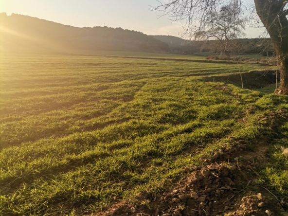 Çanakkale Biga Bekirli Köyü