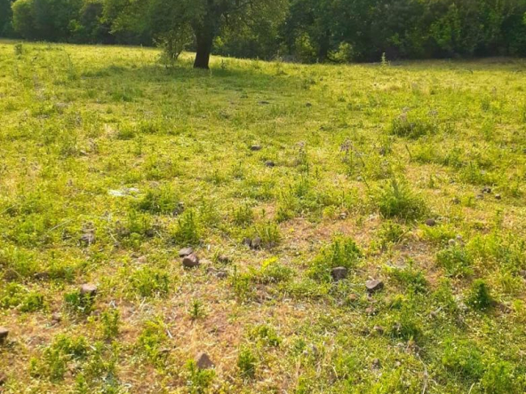 Çanakkale Merkez Yukarıokçular Köyü