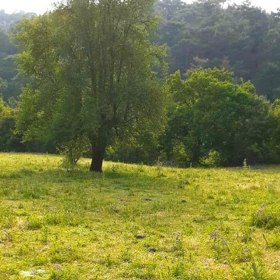 Inovest Gayrimenkul - Arsa - Arazi - Tarla